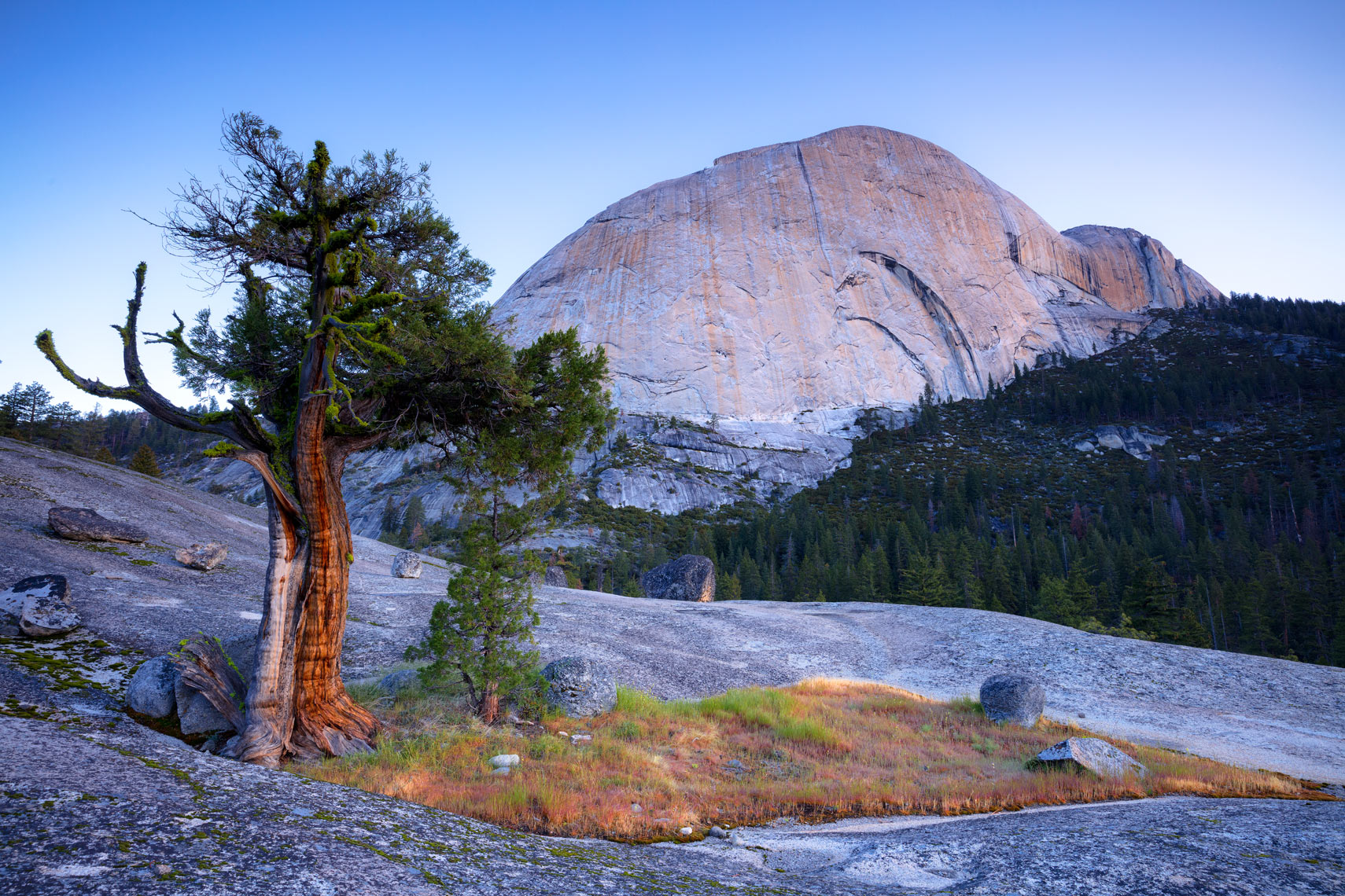 Yosemite-First-Light-Behind-The-Dome-I6A8367-copy